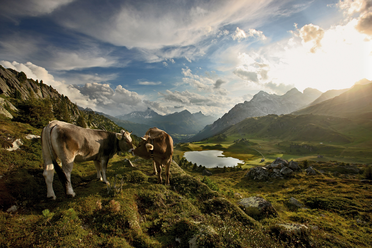 Andeer–Clugin Forest Trail | Switzerland Tourism