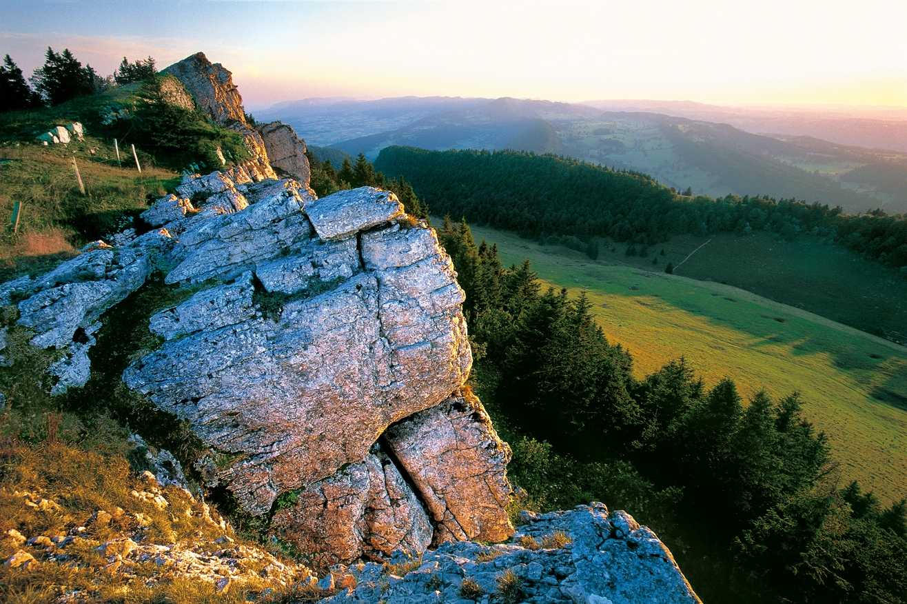 Volunteering im Naturpark Chasseral Schweiz Tourismus